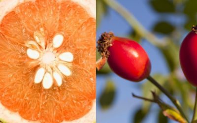 Acné: Beneficios del Pomelo y la Rosa Mosqueta