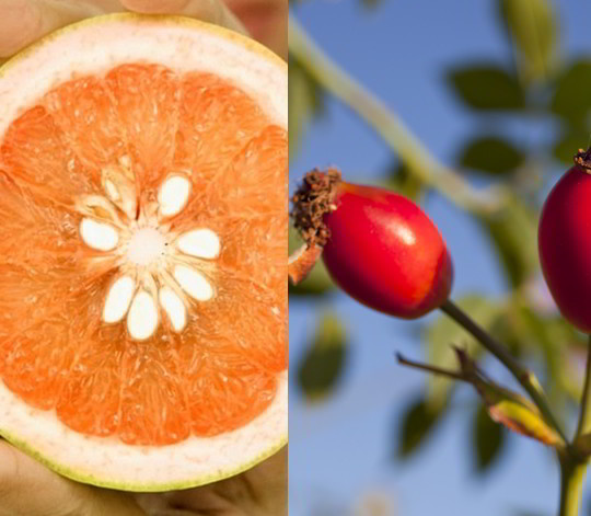 Acné: Beneficios del Pomelo y la Rosa Mosqueta