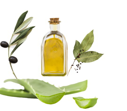 Piel Atópica en verano: Beneficios del Alepo y el Áloe Vera